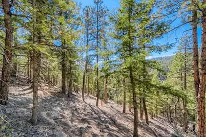 Elsie Road, Conifer, CO 80433 - Photo 9