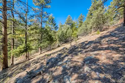 Elsie Road, Conifer, CO 80433 - Photo 5