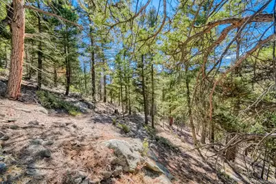 Elsie Road, Conifer, CO 80433 - Photo 21