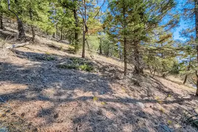 Elsie Road, Conifer, CO 80433 - Photo 25