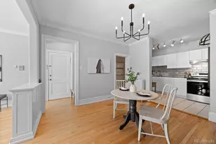 529 E 14th Ave, Denver, CO 80203 - Photo 11