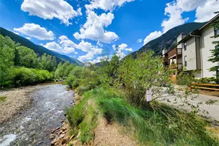1890 Argentine St, Georgetown, CO 80444 - Photo 23