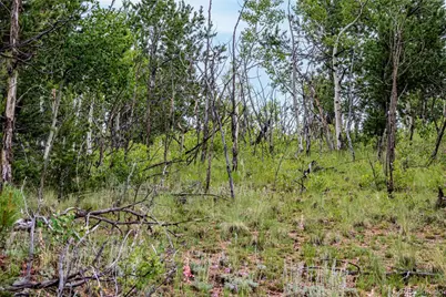 1693 Golden Cycle Circle, Cripple Creek, CO 80813 - Photo 27