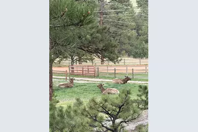 1715 Spring Gulch Drive, Lyons, CO 80540 - Photo 25