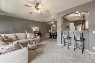 431 Black Feather Loop, Castle Rock, CO 80104 - Photo 11