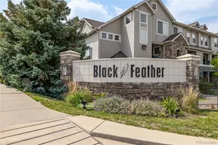 431 Black Feather Loop, Castle Rock, CO 80104 - Photo 21