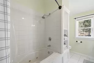 1397 S Pine Dr, Bailey, CO 80421 - Photo 25