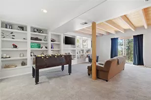 1397 S Pine Dr, Bailey, CO 80421 - Photo 31