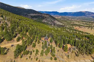 1397 S Pine Dr, Bailey, CO 80421 - Photo 39