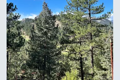 0 Pine Road, Evergreen, CO 80439 - Photo 3