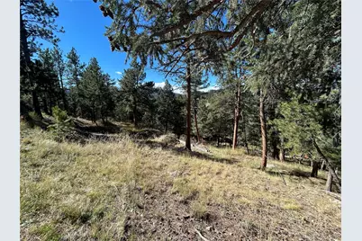 0 Pine Road, Evergreen, CO 80439 - Photo 5