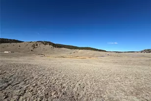 66 Wagon Wheel Rd, Hartsel, CO 80449 - Photo 1