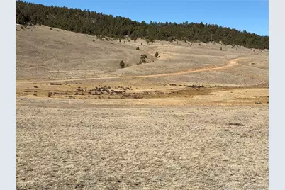 66 Wagon Wheel Road, Hartsel, CO 80449 - Photo 5