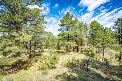 40400 Moon Stone Court, Deer Trail, CO 80105 - Photo 11