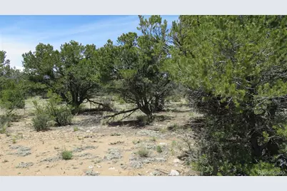 29266 Timber Ridge, Buena Vista, CO 81211 - Photo 43