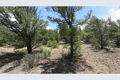 29266 Timber Ridge, Buena Vista, CO 81211 - Photo 39