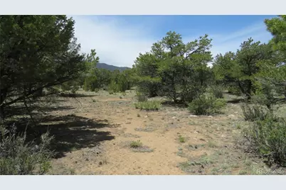 29266 Timber Ridge, Buena Vista, CO 81211 - Photo 35