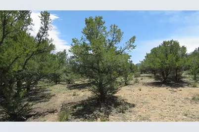 29266 Timber Ridge, Buena Vista, CO 81211 - Photo 37