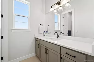 1702 Branching Canopy Dr, Windsor, CO 80550 - Photo 27