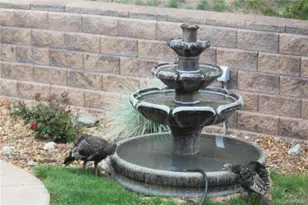 620 Cumberland Rd, Larkspur, CO 80118 - Photo 31