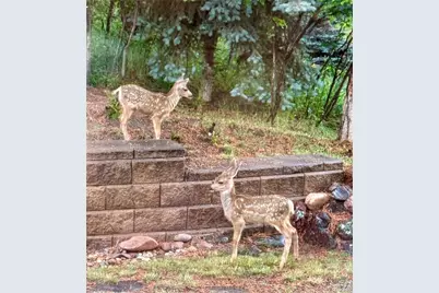 620 Cumberland Road, Larkspur, CO 80118 - Photo 33