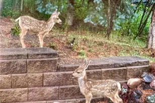 620 Cumberland Rd, Larkspur, CO 80118 - Photo 33