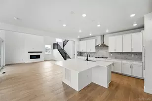 1667 Fox Trotter Pt, Castle Rock, CO 80104 - Photo 9