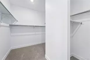 1667 Fox Trotter Pt, Castle Rock, CO 80104 - Photo 23