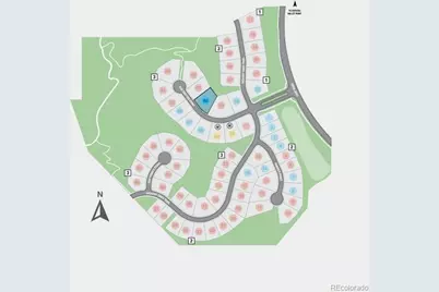 1667 Fox Trotter Point, Castle Rock, CO 80104 - Photo 37