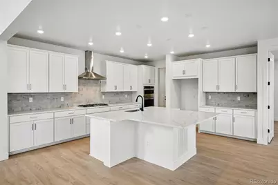 1667 Fox Trotter Point, Castle Rock, CO 80104 - Photo 9