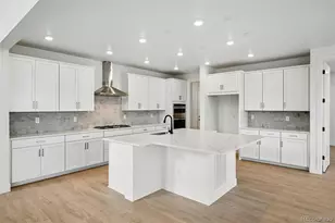 1667 Fox Trotter Pt, Castle Rock, CO 80104 - Photo 9