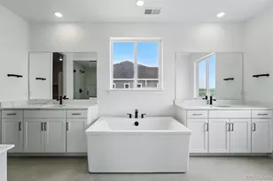 1667 Fox Trotter Pt, Castle Rock, CO 80104 - Photo 21