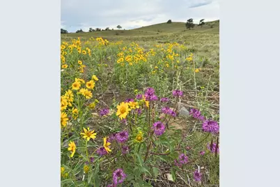 391 Gulch Road, Hartsel, CO 80449 - Photo 5