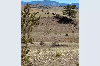 391 Gulch Road, Hartsel, CO 80449 - Photo 1