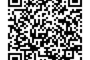 2565 Pierce St, Lakewood, CO 80214 - Photo 41