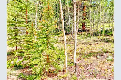 224 Apache Trail, Como, CO 80456 - Photo 3
