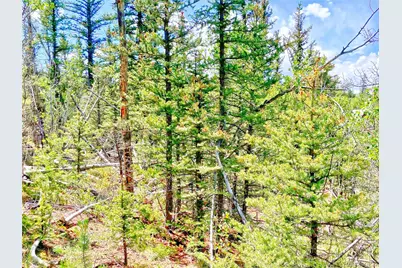 224 Apache Trail, Como, CO 80456 - Photo 9