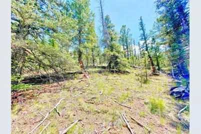 224 Apache Trail, Como, CO 80456 - Photo 15