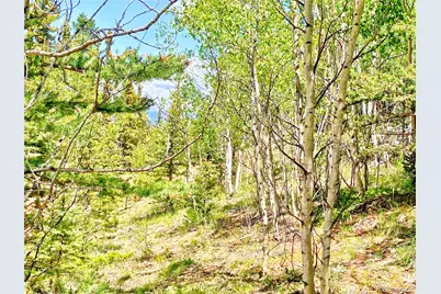 224 Apache Trail, Como, CO 80456 - Photo 7