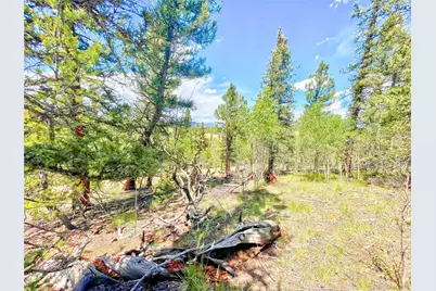 224 Apache Trail, Como, CO 80456 - Photo 5