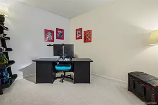 9229 Aspen Creek Way, Highlands Ranch, CO 80129 - Photo 15