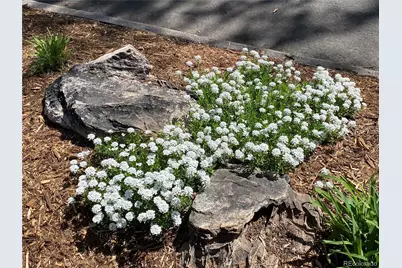 1145 S Williams Street, Denver, CO 80210 - Photo 45