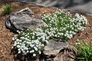 1145 S Williams St, Denver, CO 80210 - Photo 45