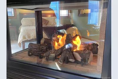 1145 S Williams Street, Denver, CO 80210 - Photo 23