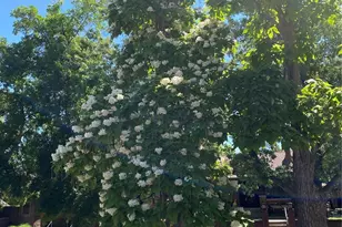 1145 S Williams St, Denver, CO 80210 - Photo 47