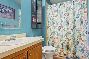 266 Pinto St, Golden, CO 80401 - Photo 23