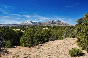 127 Navajo Ranch Resorts, Walsenburg, CO 81089 - Photo 1