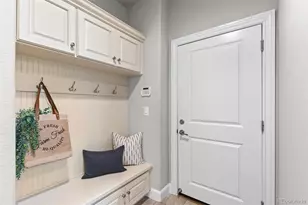 22463 E Mosey Cir, Parker, CO 80138 - Photo 23