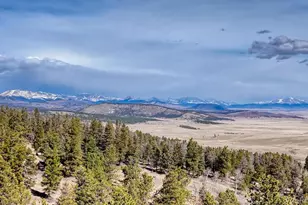 3561 Singletree Rd, Hartsel, CO 80449 - Photo 43