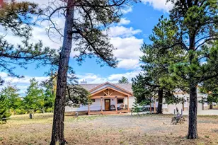 3561 Singletree Rd, Hartsel, CO 80449 - Photo 29